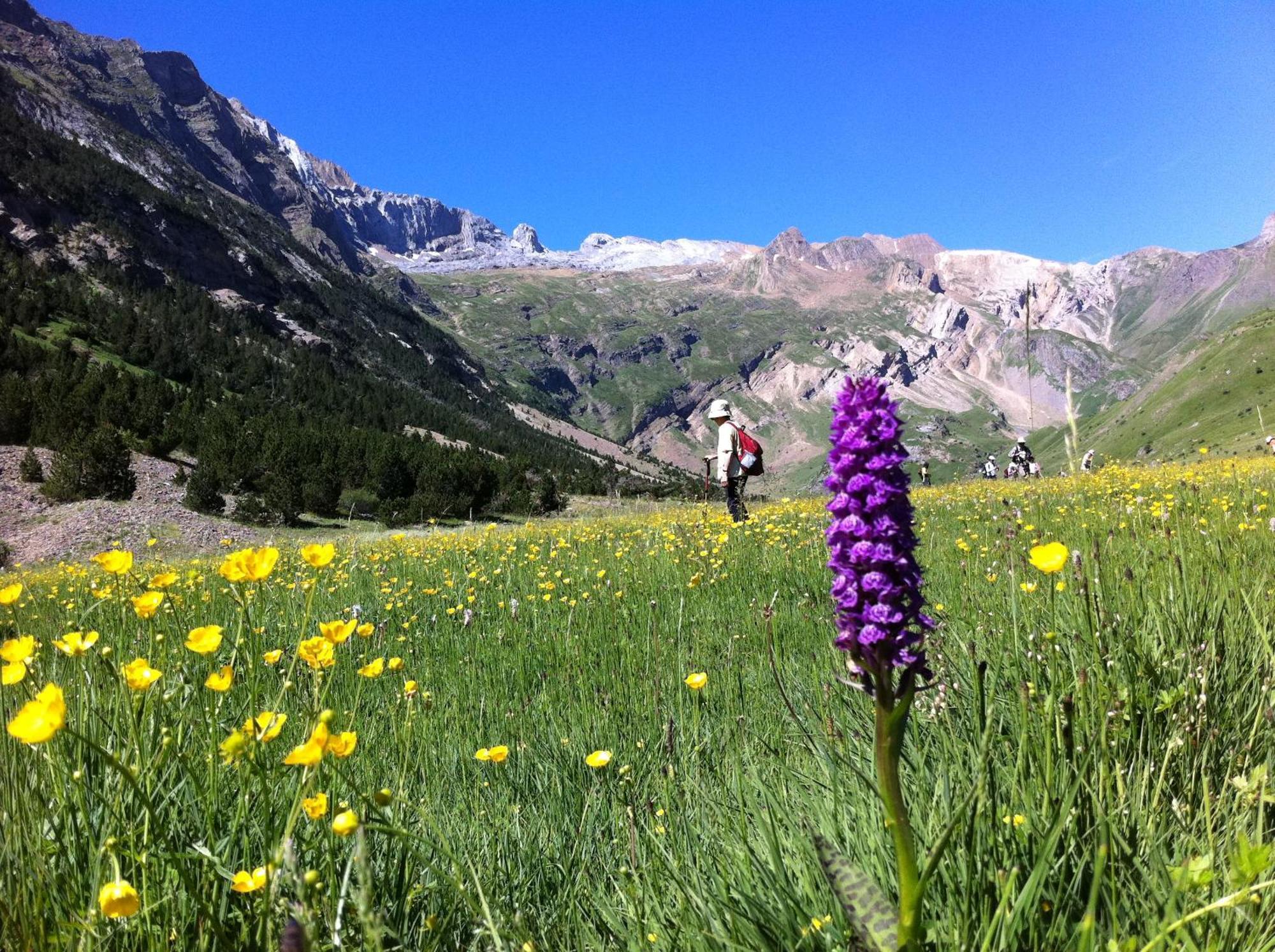 Hostel-Albergue Monte Perdido Torla Zewnętrze zdjęcie
